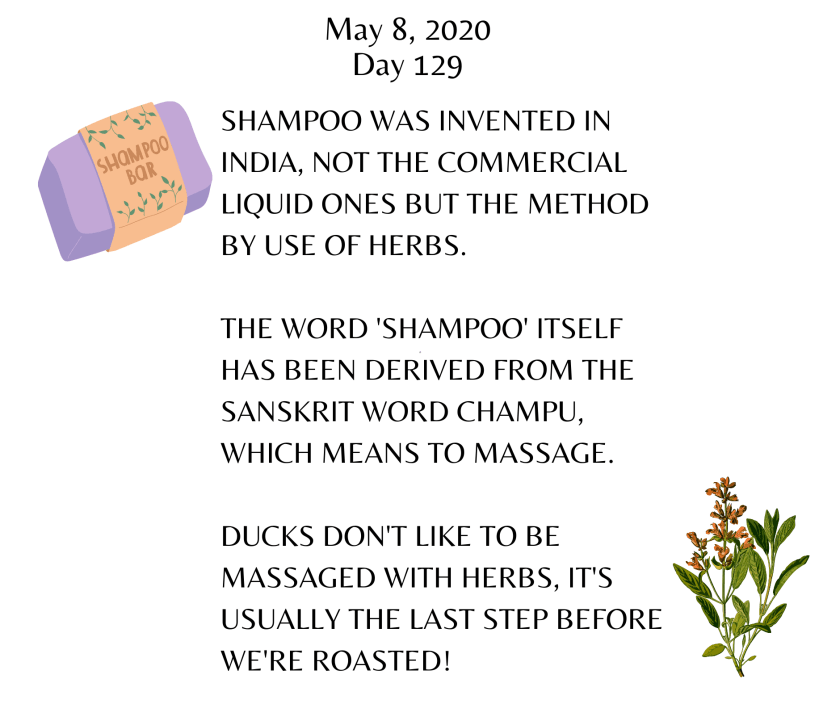 103123148_3545246572158321_4183110203807919018_o