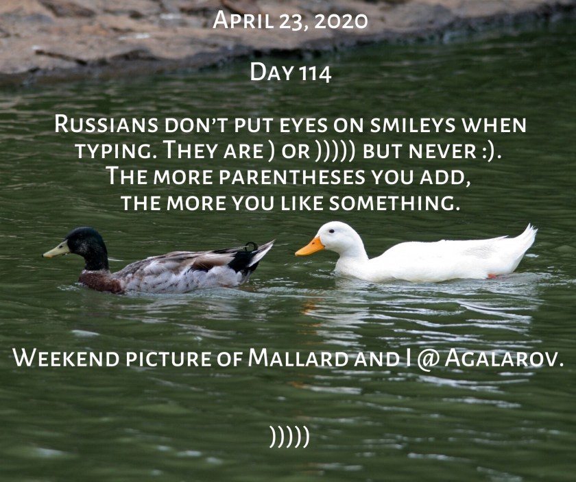 95127051_3433243816691931_2819776682729144320_o (1).jpg full pic